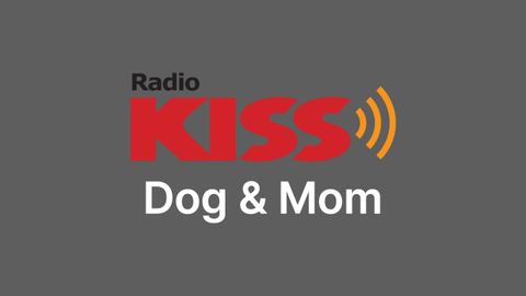 KISS - Dog & Mom Relaxing Afternoon